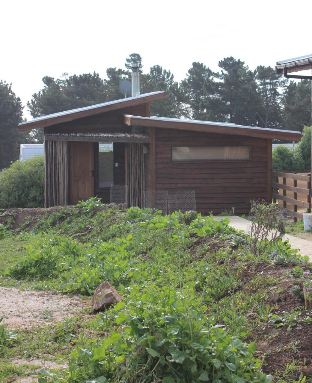 Cabanas Grulla Pichilemu Exterior photo